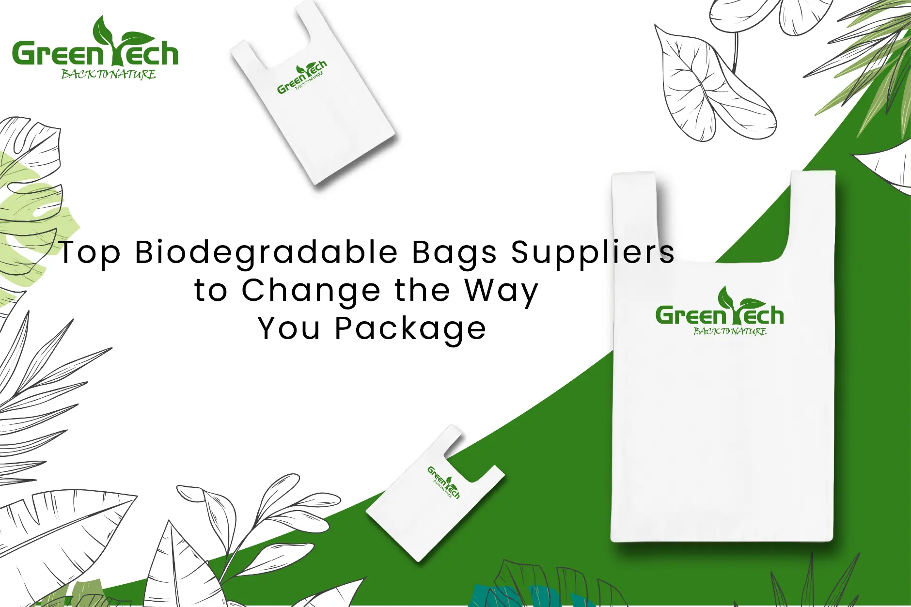 Read more about the article Top Biodegradable Bags Suppliers to Change the Way You Package