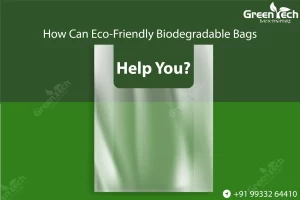 Read more about the article How Can Eco-Friendly Biodegradable Bags Help You?