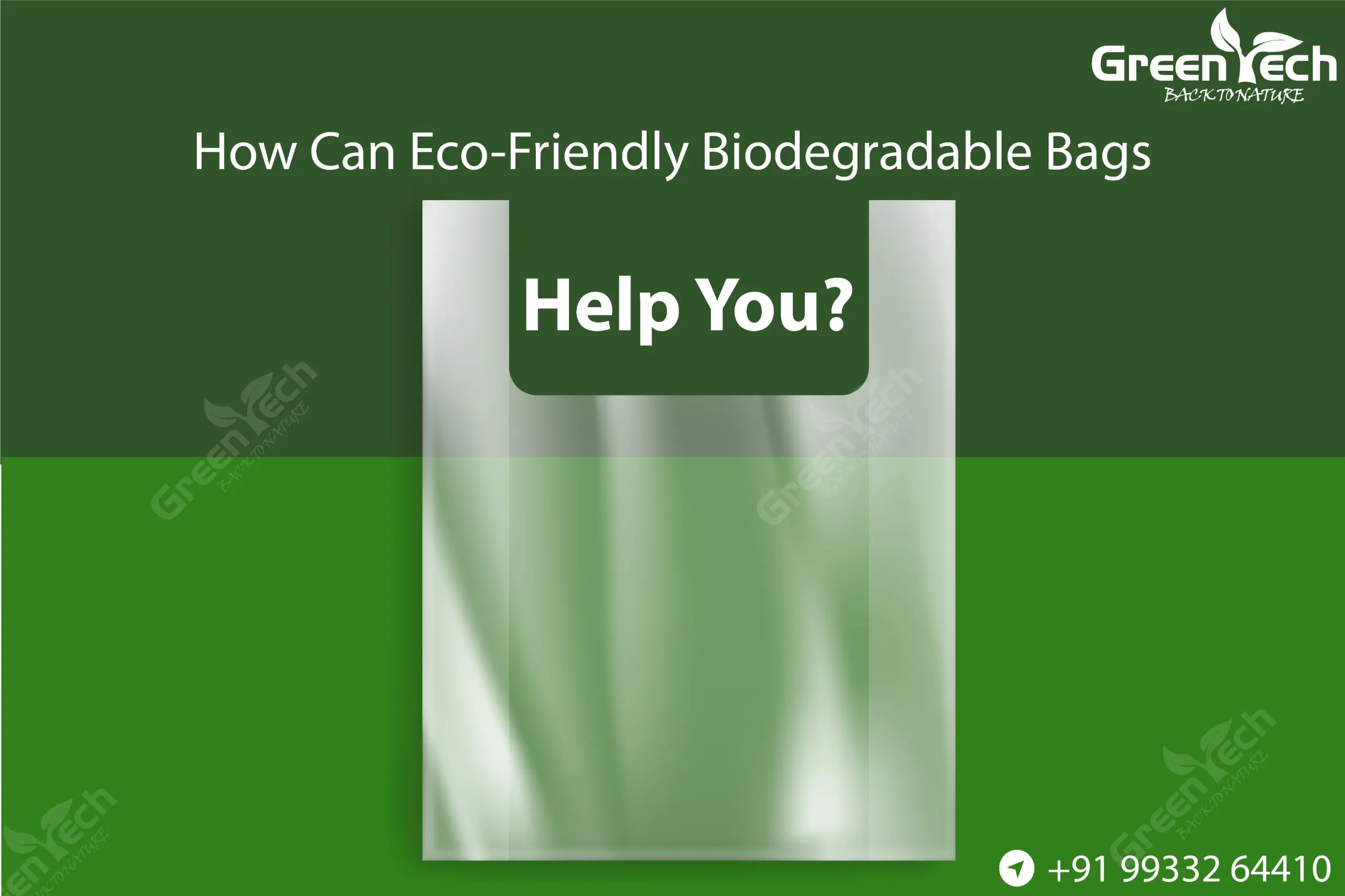 Read more about the article How Can Eco-Friendly Biodegradable Bags Help You?