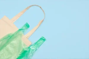 Read more about the article Top 7 Benefits of Compostable Bags vs. Plastic Bags for a Greener Future