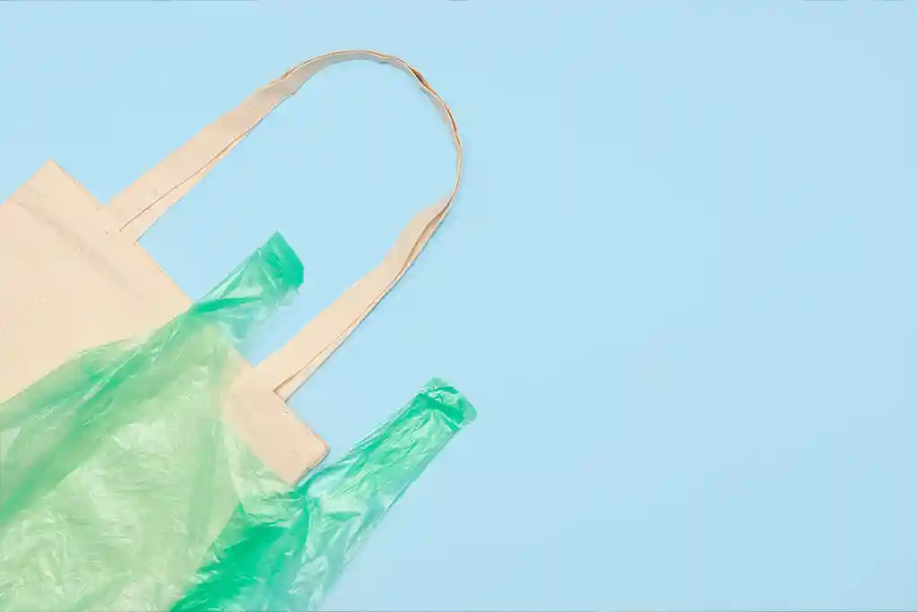 Read more about the article Top 7 Benefits of Compostable Bags vs. Plastic Bags for a Greener Future