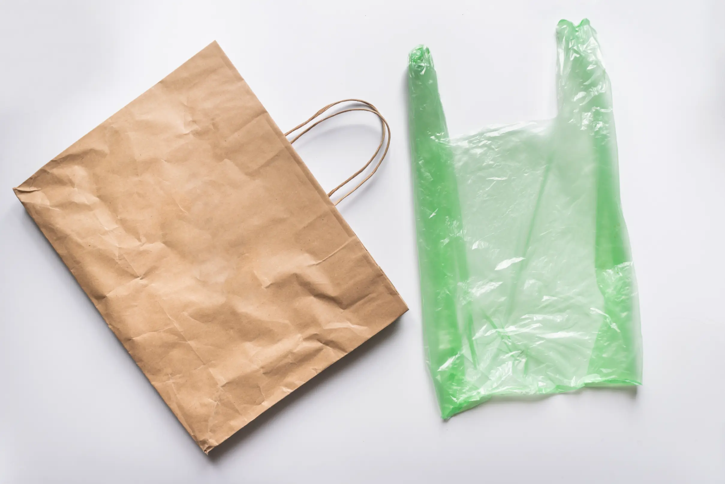 Read more about the article Why Are Biodegradable T-Shirt Bags Better Than Plastic Carry Bags?