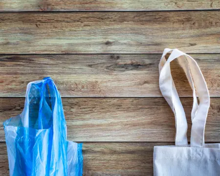 Read more about the article Looking for Sustainable Packaging? Why Are Biodegradable Bags Becoming the Preferred Choice for Businesses in Malaysia?